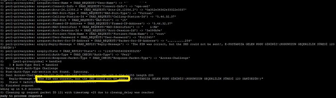 sms_gateway_token_freeradius_output